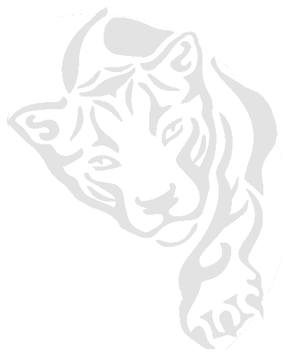 Tiger Right